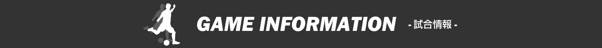 01_gameinformation